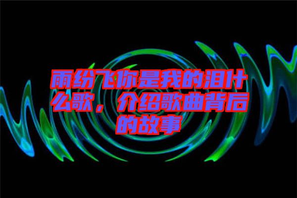 雨紛飛你是我的淚什么歌，介紹歌曲背后的故事