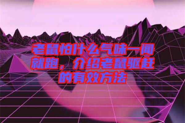 老鼠怕什么氣味一聞就跑，介紹老鼠驅(qū)趕的有效方法