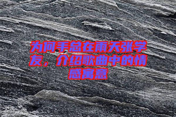 為何手總在雨天張學(xué)友，介紹歌曲中的情感寓意