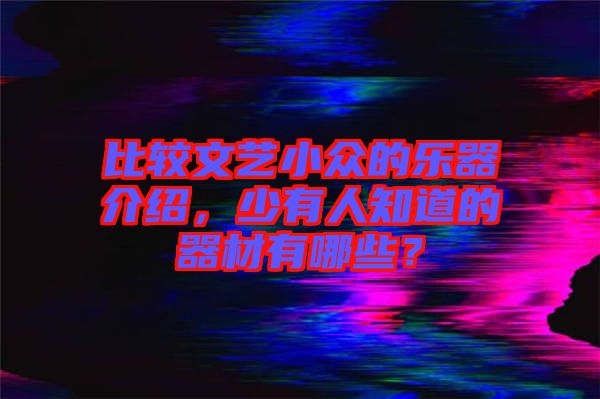 比較文藝小眾的樂(lè)器介紹，少有人知道的器材有哪些？