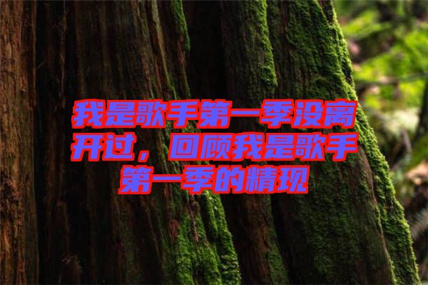 我是歌手第一季沒離開過，回顧我是歌手第一季的精現(xiàn)