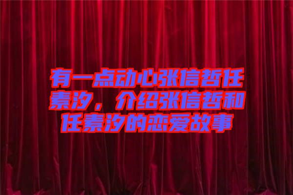 有一點動心張信哲任素汐，介紹張信哲和任素汐的戀愛故事