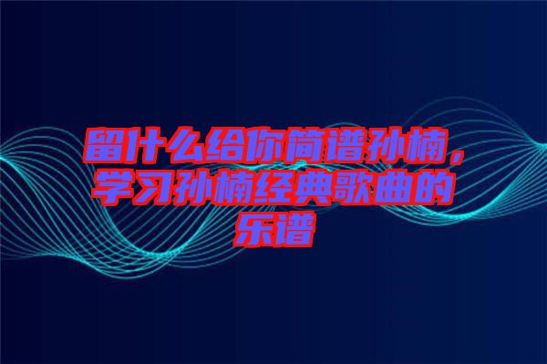 留什么給你簡譜孫楠，學(xué)習(xí)孫楠經(jīng)典歌曲的樂譜