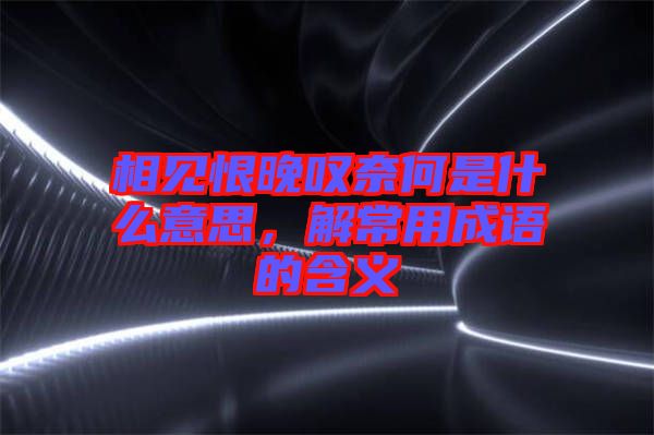 相見恨晚嘆奈何是什么意思，解常用成語的含義