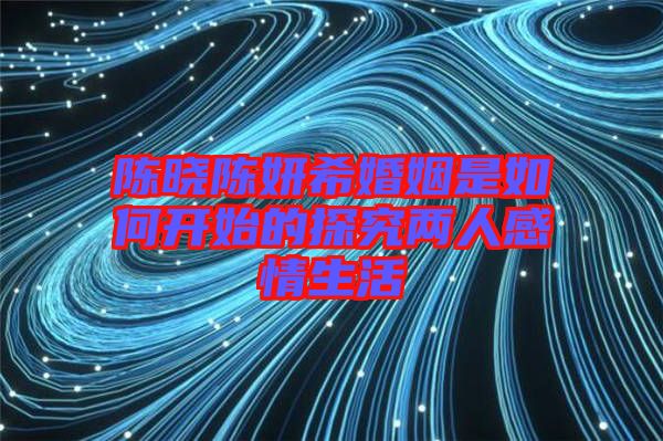 陳曉陳妍?；橐鍪侨绾伍_(kāi)始的探究?jī)扇烁星樯? width=