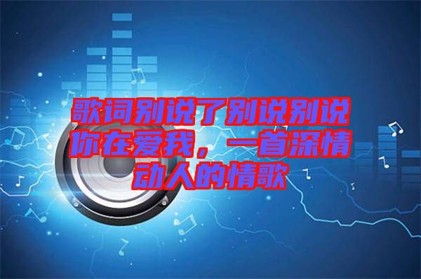 歌詞別說了別說別說你在愛我，一首深情動人的情歌