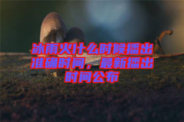 冰雨火什么時候播出準確時間，最新播出時間公布