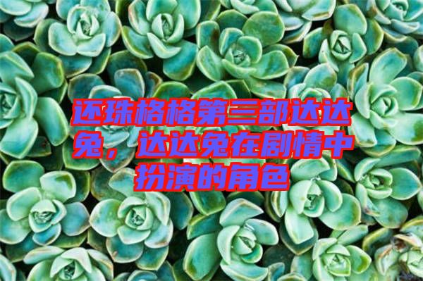 還珠格格第三部達(dá)達(dá)兔，達(dá)達(dá)兔在劇情中扮演的角色