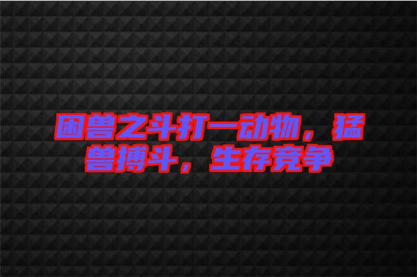 困獸之斗打一動物，猛獸搏斗，生存競爭