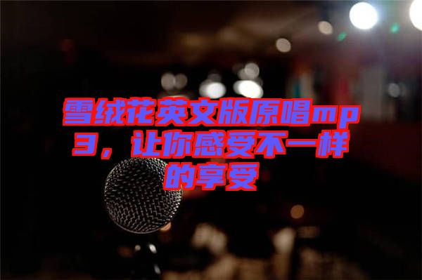 雪絨花英文版原唱mp3，讓你感受不一樣的享受