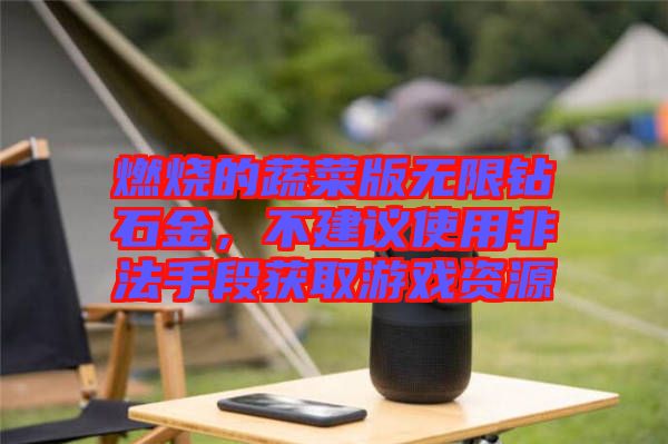 燃燒的蔬菜版無(wú)限鉆石金，不建議使用非法手段獲取游戲資源