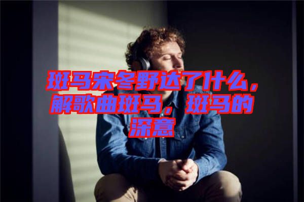 斑馬宋冬野達了什么，解歌曲斑馬，斑馬的深意