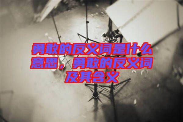 勇敢的反義詞是什么意思，勇敢的反義詞及其含義