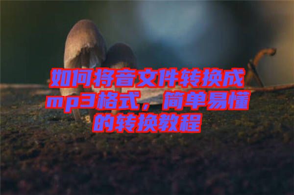 如何將音文件轉換成mp3格式，簡單易懂的轉換教程