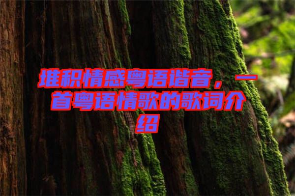 堆積情感粵語諧音，一首粵語情歌的歌詞介紹