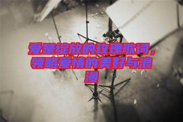 愛是綻放的玫瑰歌詞，領(lǐng)略愛情的美好與浪漫