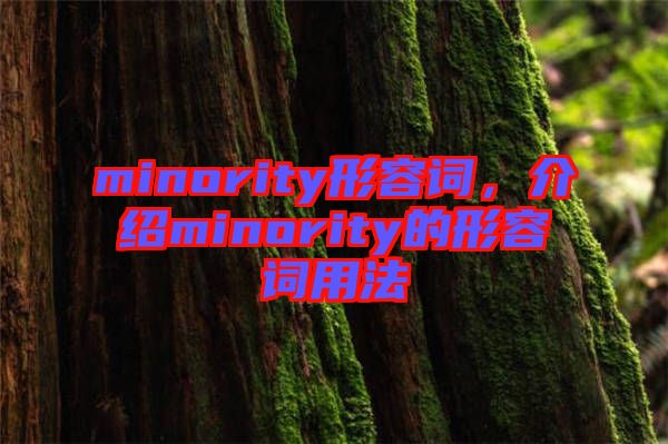 minority形容詞，介紹minority的形容詞用法