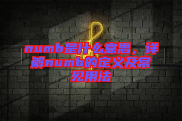 numb是什么意思，詳解numb的定義及常見(jiàn)用法