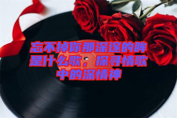 忘不掉你那深邃的眸是什么歌，探尋情歌中的深情神