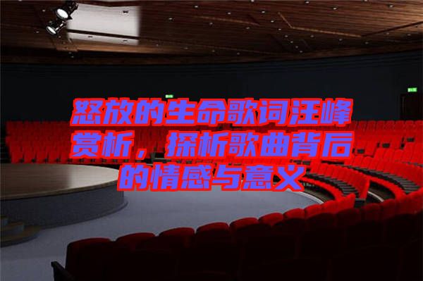 怒放的生命歌詞汪峰賞析，探析歌曲背后的情感與意義