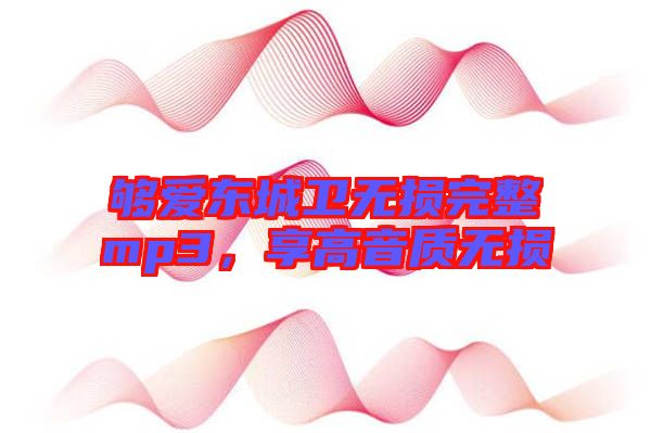 夠愛東城衛(wèi)無損完整mp3，享高音質(zhì)無損