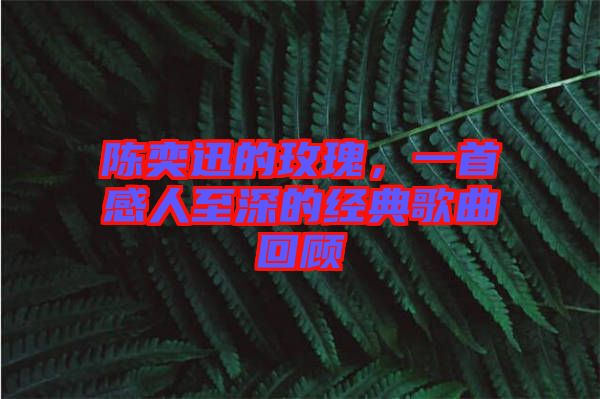 陳奕迅的玫瑰，一首感人至深的經(jīng)典歌曲回顧