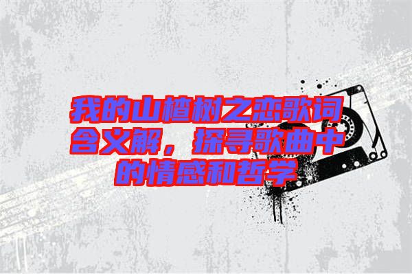 我的山楂樹之戀歌詞含義解，探尋歌曲中的情感和哲學(xué)