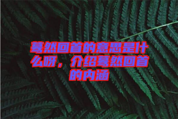 驀然回首的意思是什么呀，介紹驀然回首的內(nèi)涵