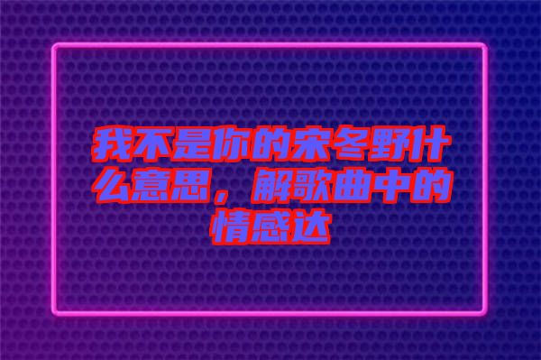 我不是你的宋冬野什么意思，解歌曲中的情感達(dá)