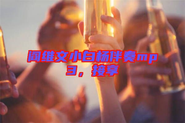 閻維文小白楊伴奏mp3，接享