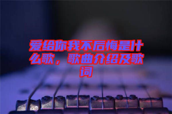 愛給你我不后悔是什么歌，歌曲介紹及歌詞