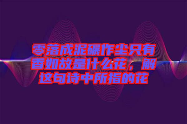 零落成泥碾作塵只有香如故是什么花，解這句詩中所指的花