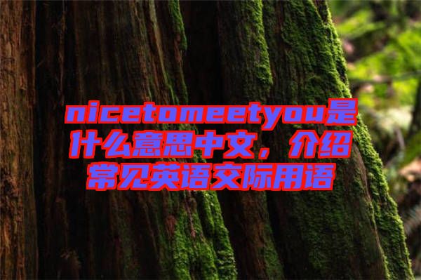 nicetomeetyou是什么意思中文，介紹常見英語交際用語