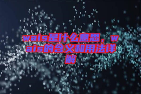 wais是什么意思，wais的含義和用法詳解