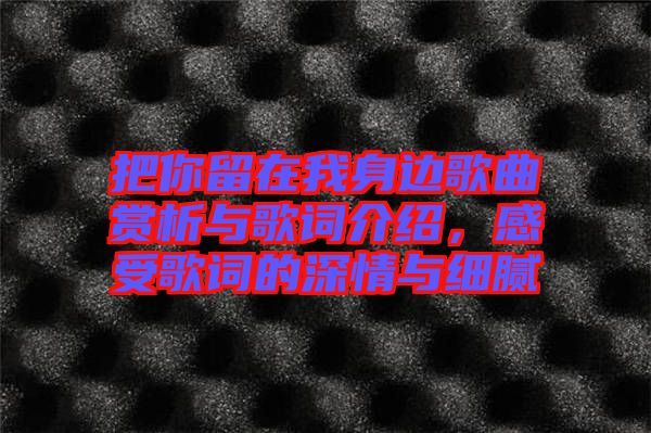 把你留在我身邊歌曲賞析與歌詞介紹，感受歌詞的深情與細(xì)膩