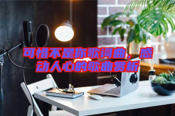 可惜不是你歌詞曲，感動(dòng)人心的歌曲賞析