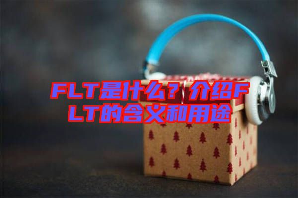 FLT是什么？介紹FLT的含義和用途