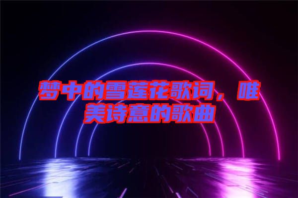 夢中的雪蓮花歌詞，唯美詩意的歌曲