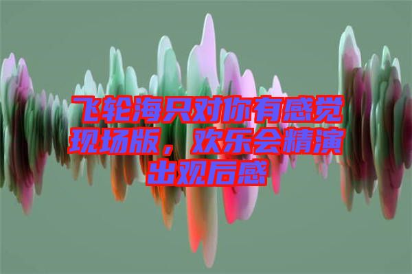 飛輪海只對(duì)你有感覺(jué)現(xiàn)場(chǎng)版，歡樂(lè)會(huì)精演出觀后感