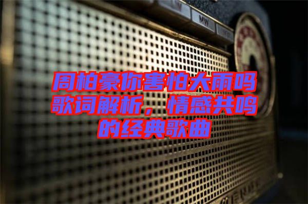 周柏豪你害怕大雨嗎歌詞解析，情感共鳴的經典歌曲