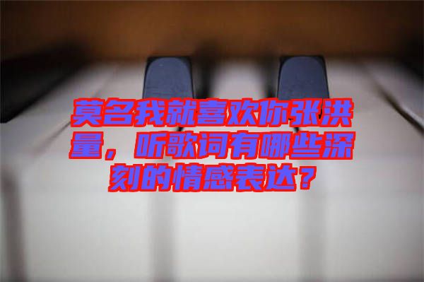 莫名我就喜歡你張洪量，聽(tīng)歌詞有哪些深刻的情感表達(dá)？