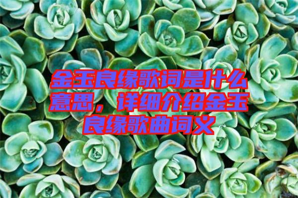 金玉良緣歌詞是什么意思，詳細(xì)介紹金玉良緣歌曲詞義