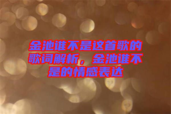 金池誰不是這首歌的歌詞解析，金池誰不是的情感表達