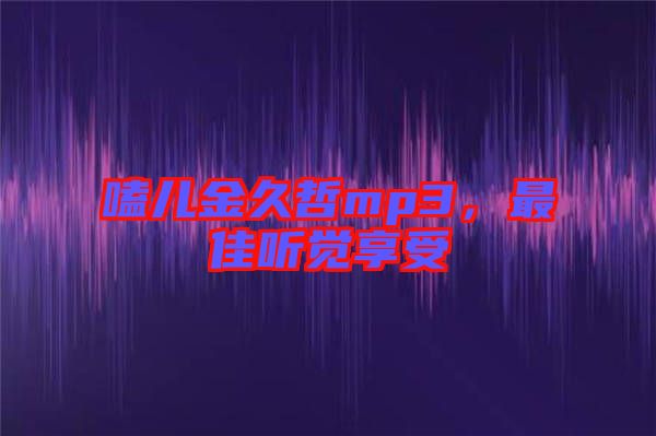 嗑兒金久哲mp3，最佳聽覺享受