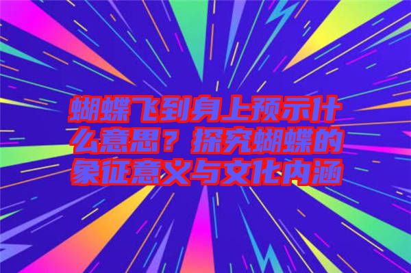 蝴蝶飛到身上預(yù)示什么意思？探究蝴蝶的象征意義與文化內(nèi)涵