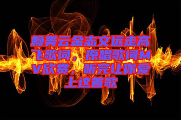 賴美云金志文遠走高飛歌詞，原唱歌詞MV欣賞，聽完讓你愛上這首歌