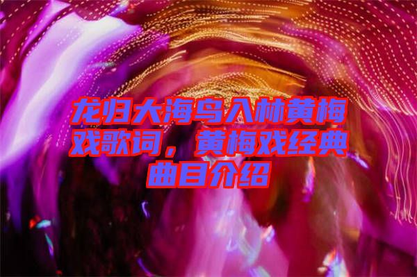 龍歸大海鳥入林黃梅戲歌詞，黃梅戲經(jīng)典曲目介紹