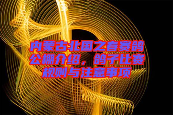 內(nèi)蒙古北國之春賽鴿公棚介紹，鴿子比賽規(guī)則與注意事項