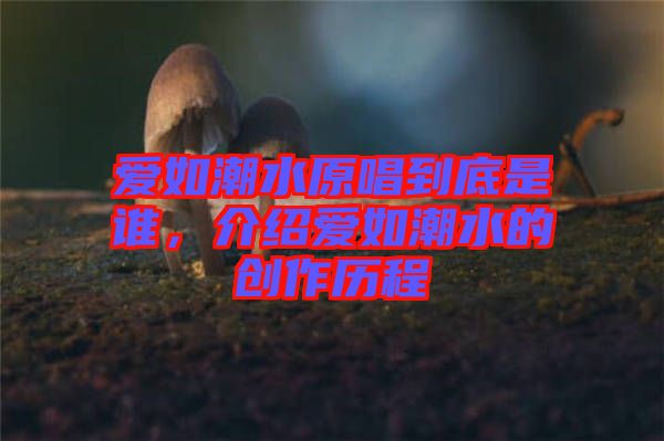 愛如潮水原唱到底是誰，介紹愛如潮水的創(chuàng)作歷程