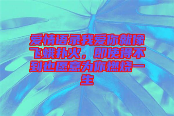 愛情語錄我愛你就像飛蛾撲火，即使得不到也愿意為你燃燒一生